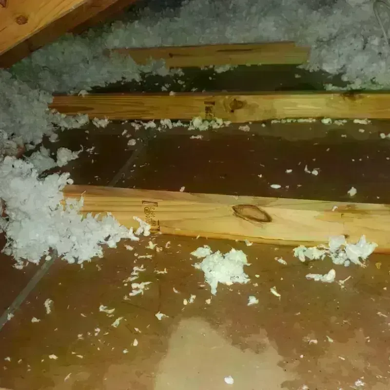 Attic Water Damage in City of Covington, VA