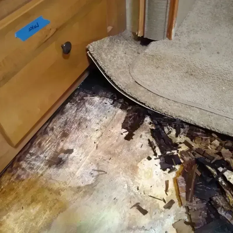 Wood Floor Water Damage in City of Covington, VA